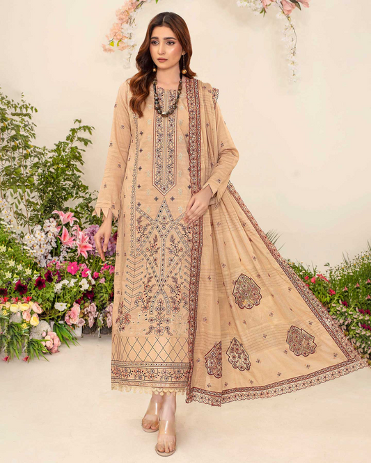 Nayab by Aalaya Summer Vol 01 '25 D 03